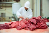 Meat & Fish Processing